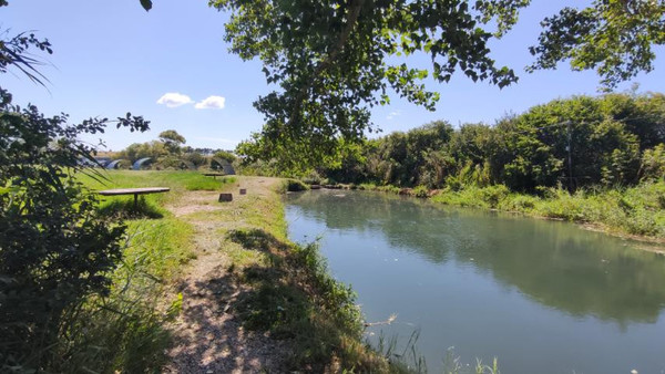 Фото: 3,5 га - рыбохозяйство! test