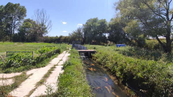 Фото: 3,5 га - рыбохозяйство! test