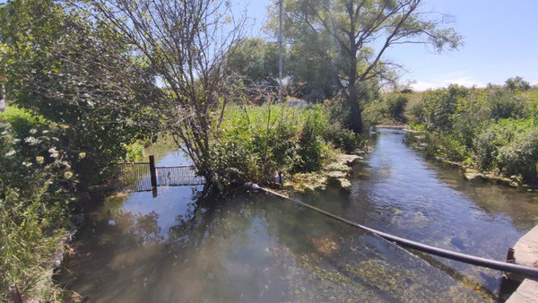 Фото: 3,5 га - рыбохозяйство! test