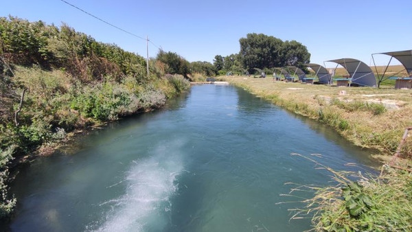 Фото: 3,5 га - рыбохозяйство! test