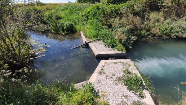 Фото: 3,5 га - рыбохозяйство! test