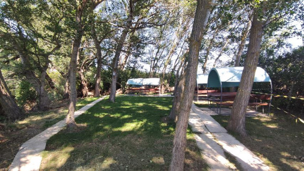 Фото: 3,5 га - рыбохозяйство! test