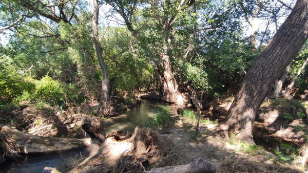 Фото: 3,5 га - рыбохозяйство! test