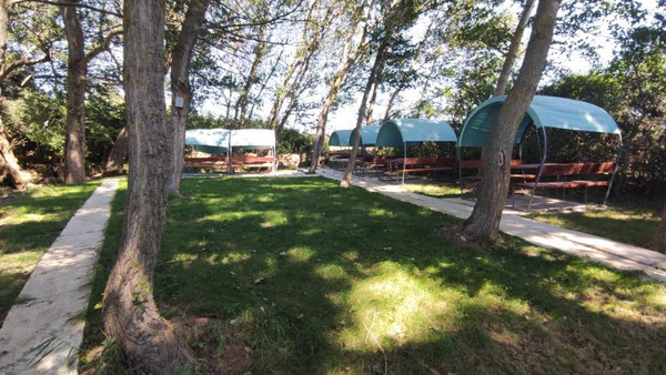 Фото: 3,5 га - рыбохозяйство! test