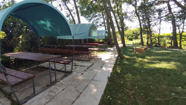 Фото: 3,5 га - рыбохозяйство! test