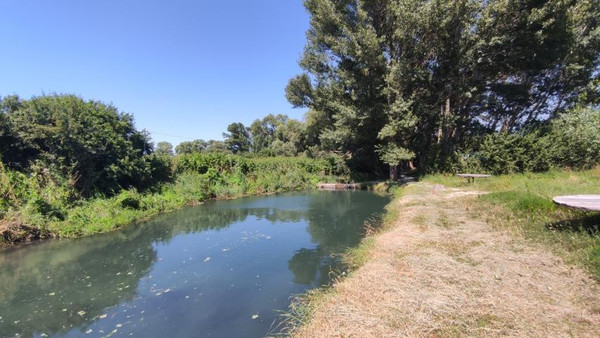 Фото: 3,5 га - рыбохозяйство! test