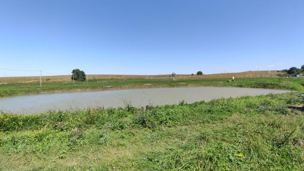 Фото: 3,5 га - рыбохозяйство! test