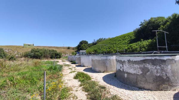 Фото: 3,5 га - рыбохозяйство! test