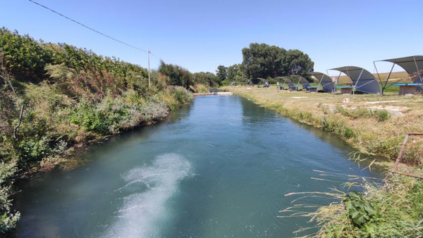 Фото: 3,5 га - рыбохозяйство! test