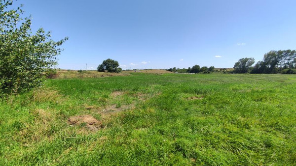 Фото: 3,5 га - рыбохозяйство! test