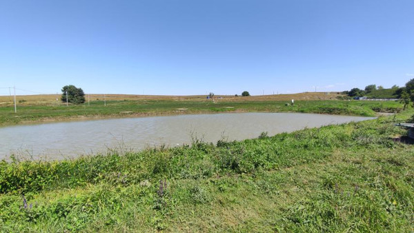 Фото: 3,5 га - рыбохозяйство! test