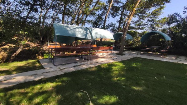 Фото: 3,5 га - рыбохозяйство! test