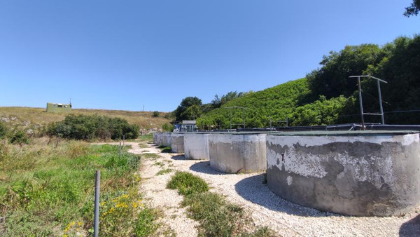 Фото: 3,5 га - рыбохозяйство! test