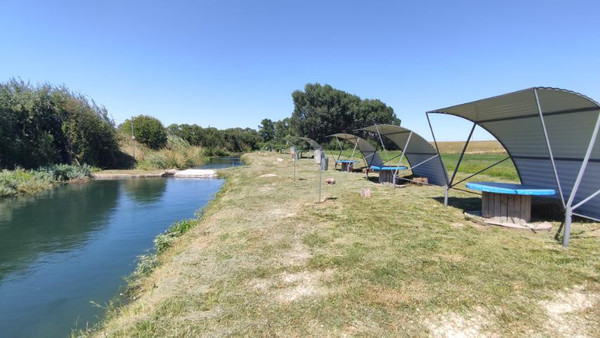 Фото: 3,5 га - рыбохозяйство! test