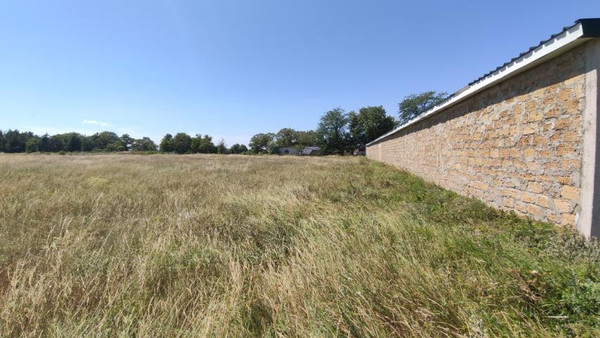 Фото: Здание 980 кв.м., 56 соток. test