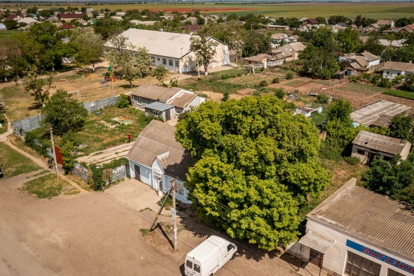 Фото: Готовый прибыльный бизнес test