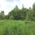 Участок на продажу в Железницких Выселках, Лесок тер. СНТ фото №1