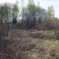 Участок на продажу в Железницких Выселках, Лесок тер. СНТ фото №4