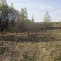Участок на продажу в Железницких Выселках, Лесок тер. СНТ фото №5