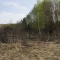 Участок на продажу в Железницких Выселках, Лесок тер. СНТ фото №6