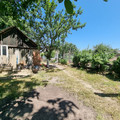 Дом на продажу в Северном, Победы ул, 41 фото №22