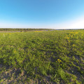 Участок на продажу в деревне Важкуръя, Важкуръя д фото №17