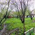 Участок на продажу в Ростове-на-Дону, 2-й Мажорный пер фото №2