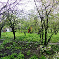 Участок на продажу в Ростове-на-Дону, 2-й Мажорный пер фото №6