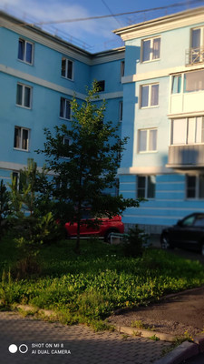 Продам квартиру в Пушкине по адресу Сапёрная ул, 36к8, площадь 532 квм Недвижимость Санкт-Петербург и окрестности (Россия)  В квартире 2 балкона, один застеклен