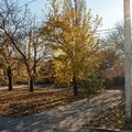 Коммерческая земля на продажу в Ростове-на-Дону, Портовая ул фото №0