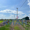 Участок на продажу в Еловом, Памяти 2-х борцов ул, 26а фото №1