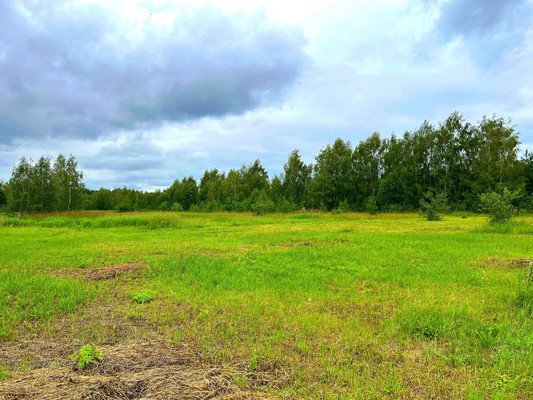 Продам земельный участок в Савинская по адресу Савинская д Недвижимость Московская  область (Россия) На участке также находятся сооружения, оставшиеся от фермерского хозяйства