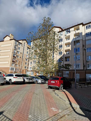 Продам квартиру в Геленджике по адресу Гоголя ул, 11бк4, площадь 45 квм Недвижимость Краснодарский край (Россия)  А так же спортивные площадки, создающие дополнительный комфорт и удобство для жителей жилого комплекса