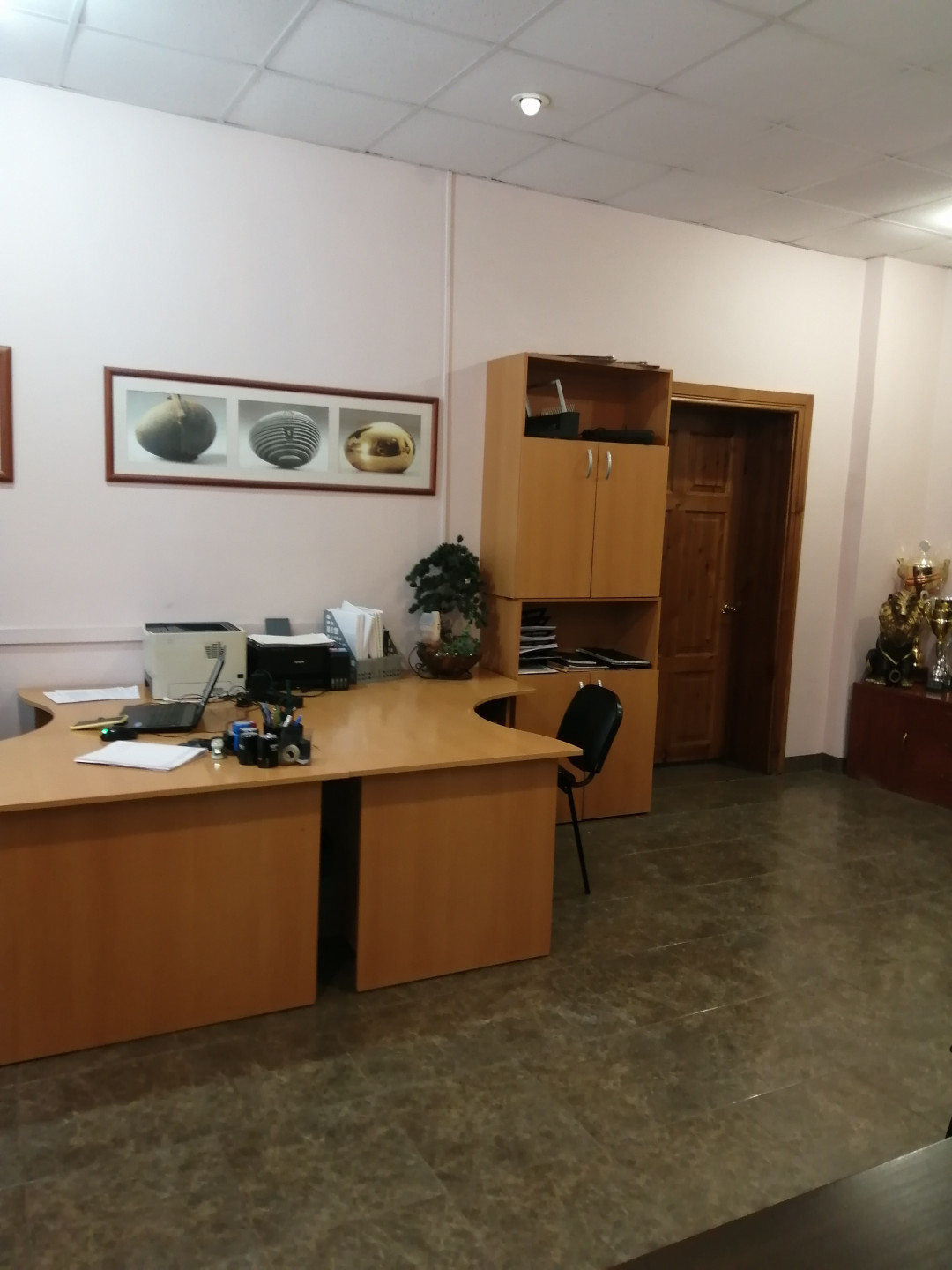 Продам офис 113 м.кв.