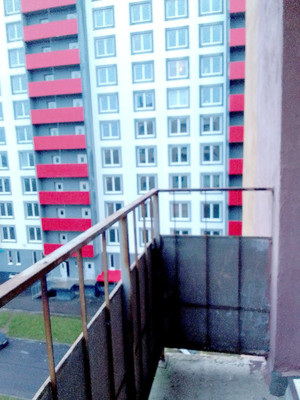 Сдам в аренду квартиру в Шушары по адресу Московское ш, 268А, площадь 425 квм Недвижимость Санкт-Петербург и окрестности (Россия) 5 м2