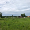 Участок на продажу в рабочем посёлке Свердловский, СПК Родина тер фото №1