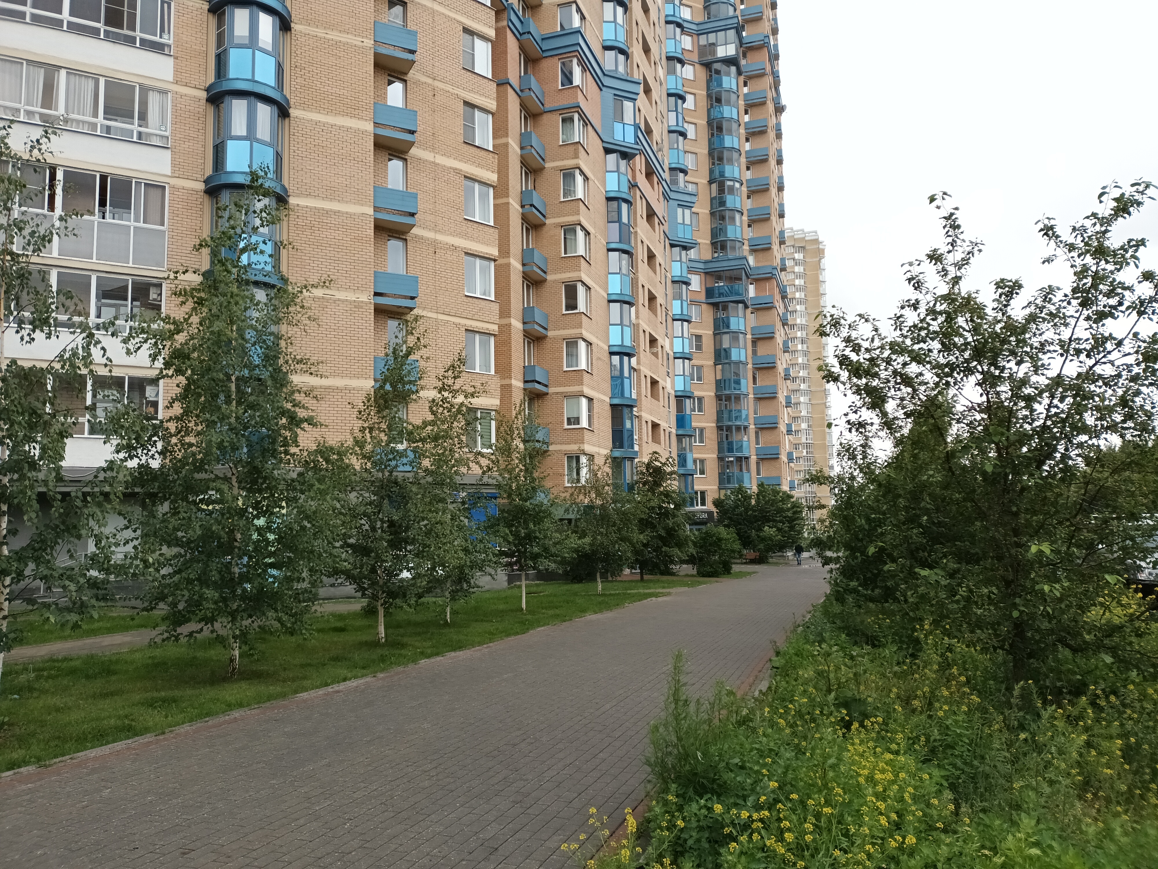 Сдам в аренду помещение свободного назначения 45.5 м.кв.