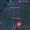 Участок на продажу в Новоживотинном, Новоживотинное с фото №3