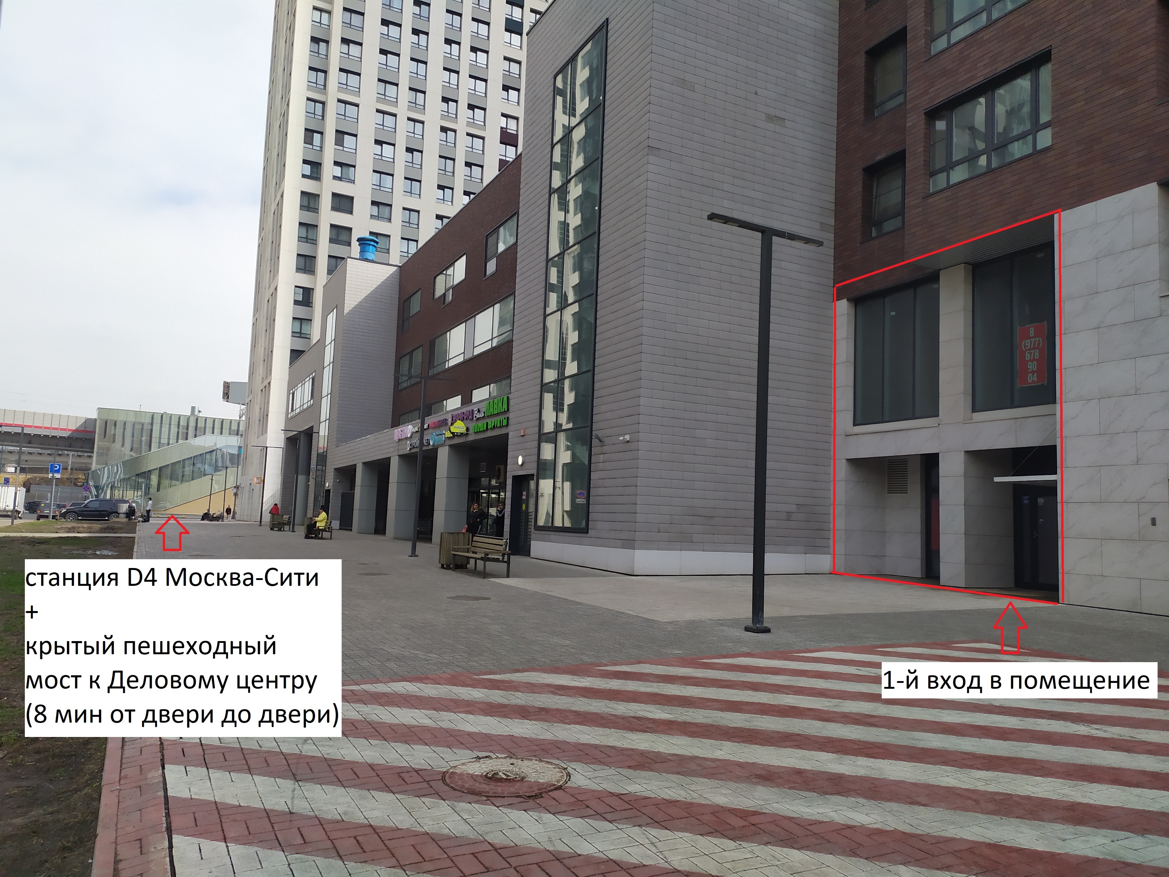 Сдам в аренду помещение свободного назначения 232.6 м.кв.