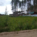 Участок на продажу в Краснозатонском, Ромашковая ул фото №1