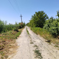Дача на продажу в Дорожном, Речник тер. СНТ, 673 фото №2