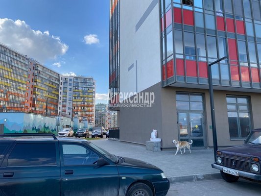 Фото: Аренда коммерческого помещения СПб, Пушкинский р-н, Шушары пос., Старорусский просп., д. 13 корп. 1 test