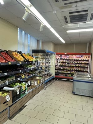 Фото: Аренда коммерческого помещения СПб, Московский р-н, Московский просп., д. 171 test