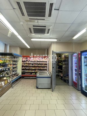 Фото: Аренда коммерческого помещения СПб, Московский р-н, Московский просп., д. 171 test