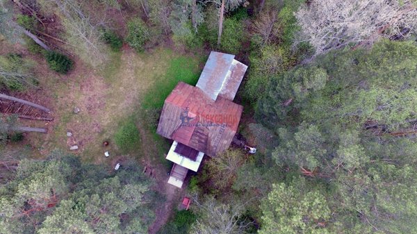 Фото: Продажа коммерции ЛО, Приозерский р-н, Приозерск г., Березовая ул., д. 1 test