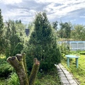 Дача на продажу в Калуге, ГНС тер фото №9