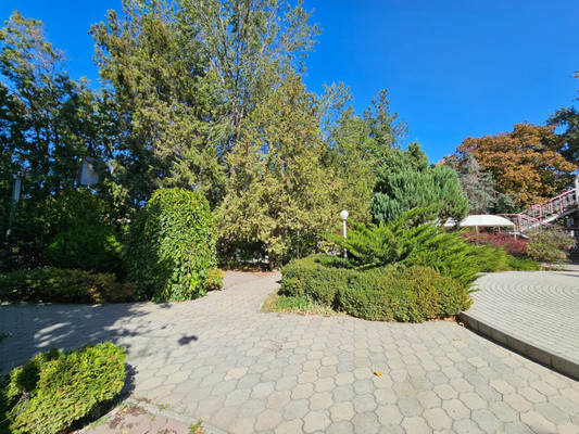 Фото: Продается коммерческое помещение, test