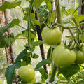 Участок на продажу в Брянске, МЮД ул фото №21