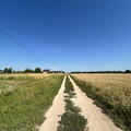 Участок на продажу в Васнево, Васнево д фото №10