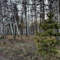 Дом на продажу в Среднеуральске, СНТ Высота тер. ТСН, 15 фото №14